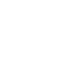 marketing-agent icon fitness